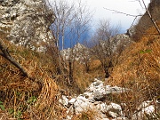 DIVERTENTE CANALONE BELASA AL MOREGALLO Sabato 24 novembre 2012  - FOTOGALLERY